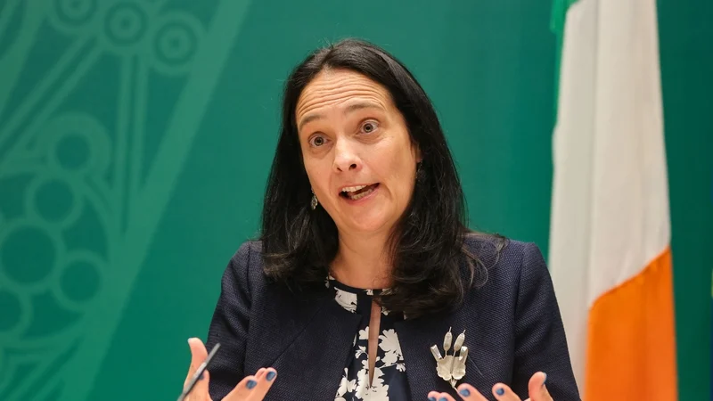 An ceadúnas teilifíse le coinneáil mar atá agus an maoiniú atá geallta níos ísle ná mar a bhí iarrtha ag Ceannasaí RTÉ